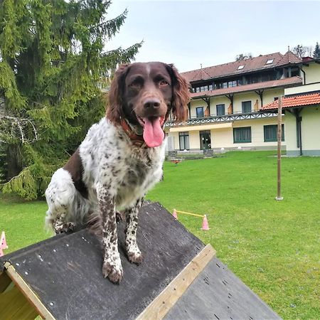 Erlebnis-Hotel-Appartements Latschach ober dem Faakersee Extérieur photo